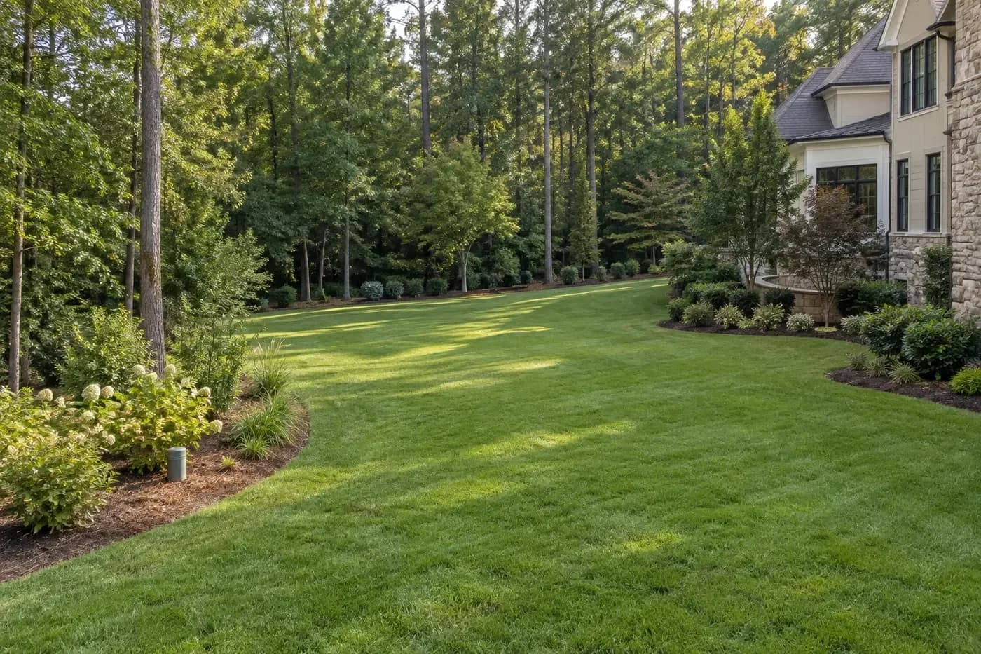 Illustrative wooded custom-home property with broad open lawn reserved for coordinated site planning